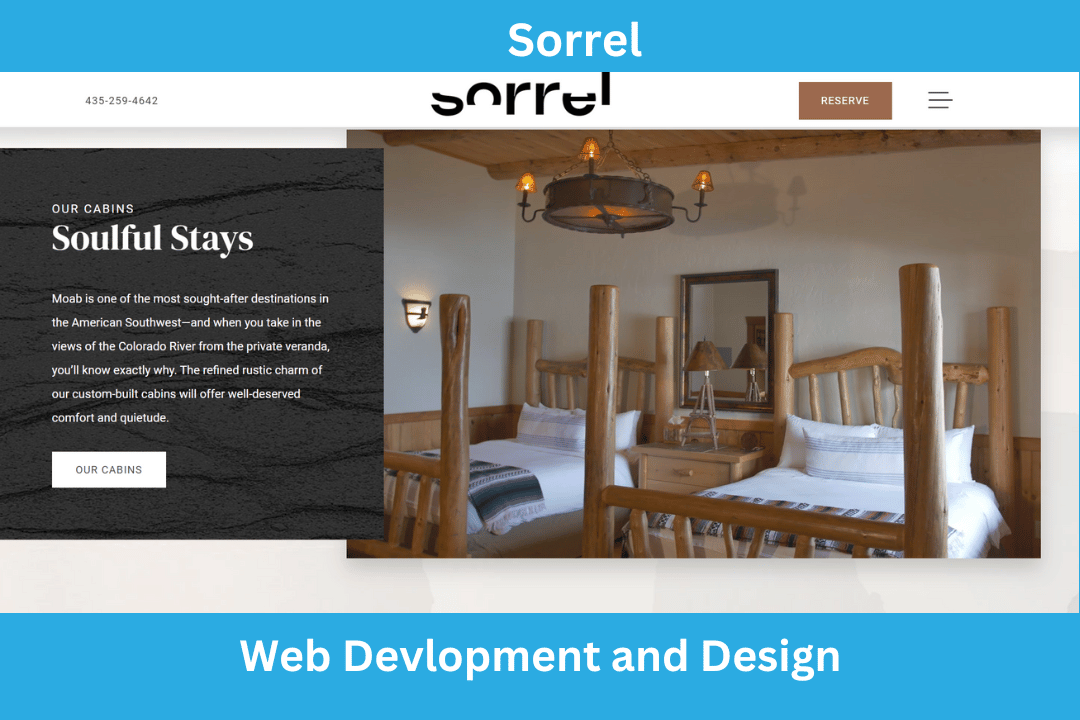 Sorrel